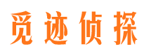 河东调查公司